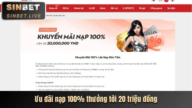 EU9VN - Phân tích các tính năng chính của trang web chính thức